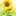 ic_cart_image_example